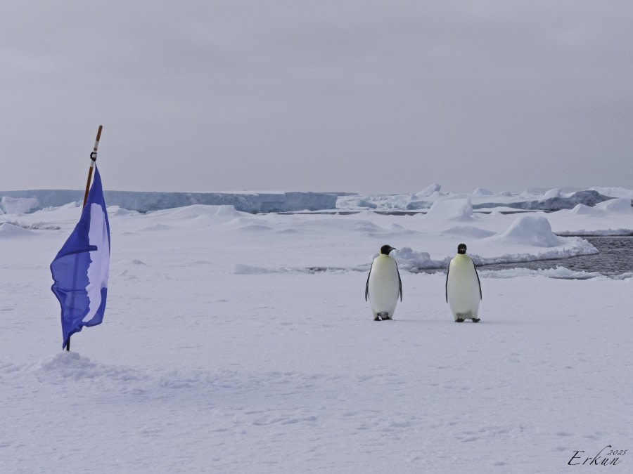 Day 22: Weddell Sea Ice Floe Landing