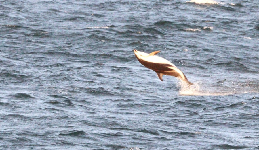 Embarkation day - Setting sail for Antarctica