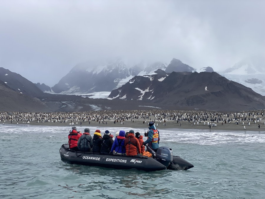 Ocean Harbour & St.Andrews Bay