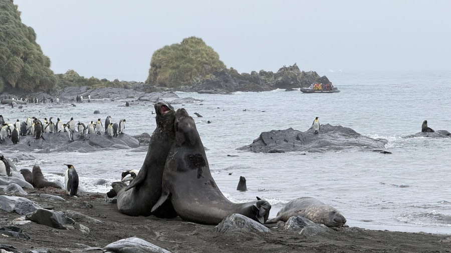 Gold Harbour & Cooper Bay