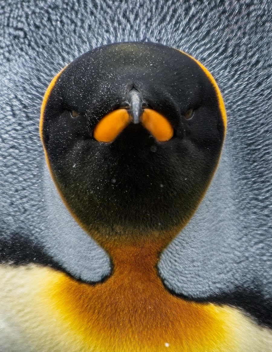 Here's to Lookin' at YOU!