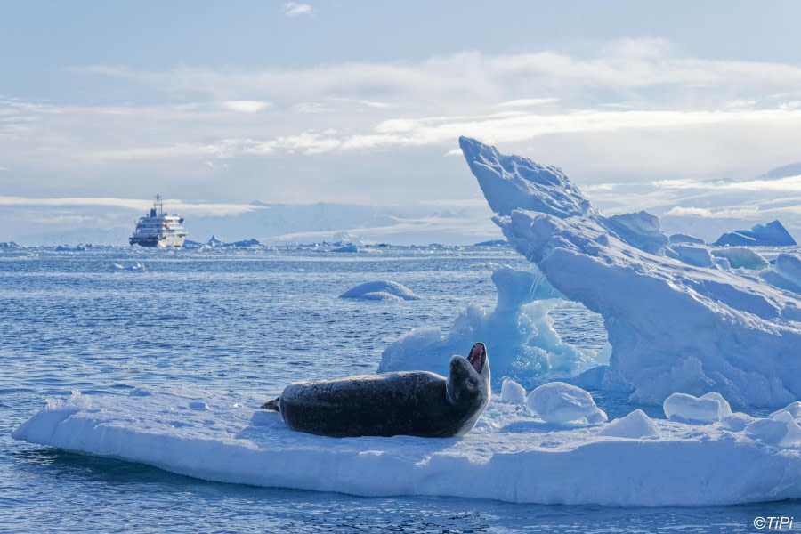 Impossible to rest...