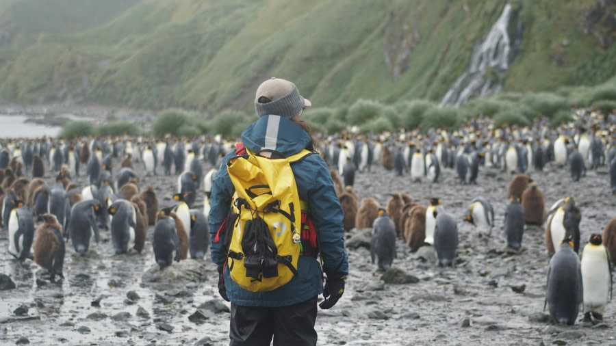 Elsehul and Right Whale Bay