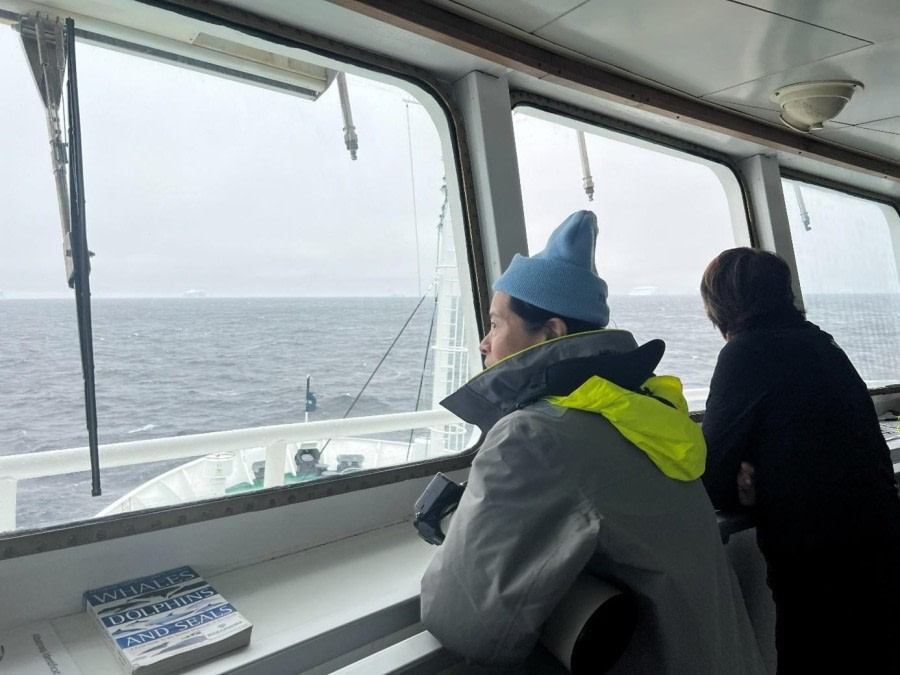 Shingle Cove, South Orkney Islands
