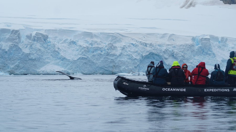 Ferguson Channel and Cuverville Island