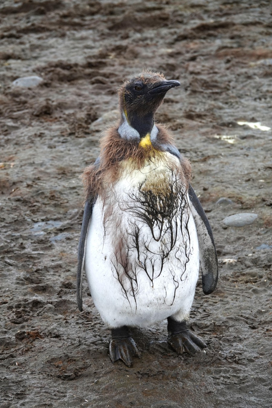 Where are the showers here?