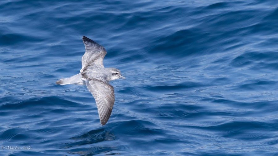 At sea heading southwest