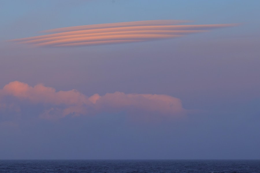 Altocumulus lenticularis at dawn