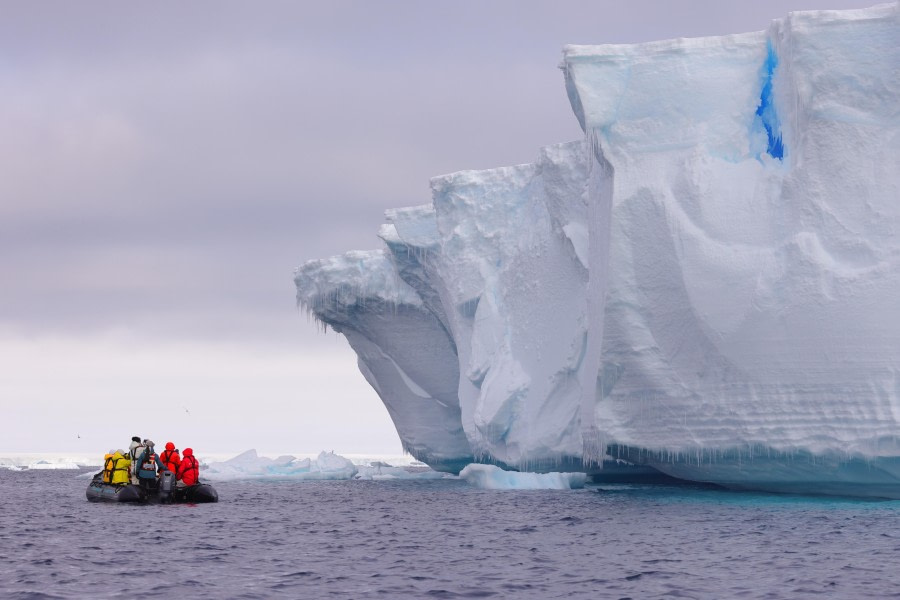 Just looking and wondering