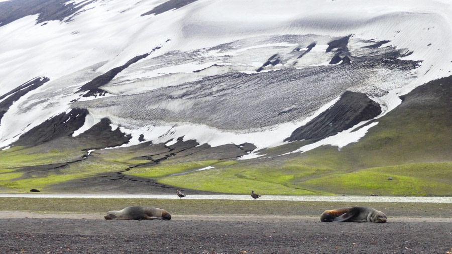 mirrored @whalers bay