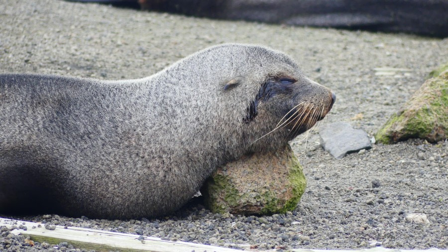 Please do not disturb