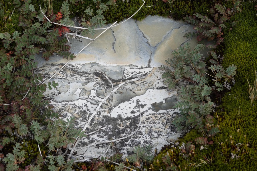 The Stony Treasure Map