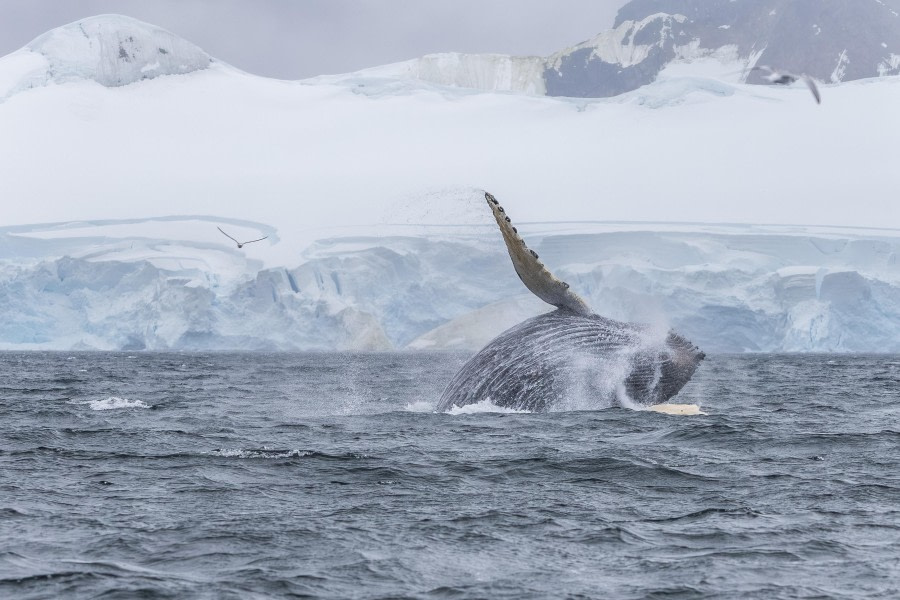 Wilhelmina Expedition Day