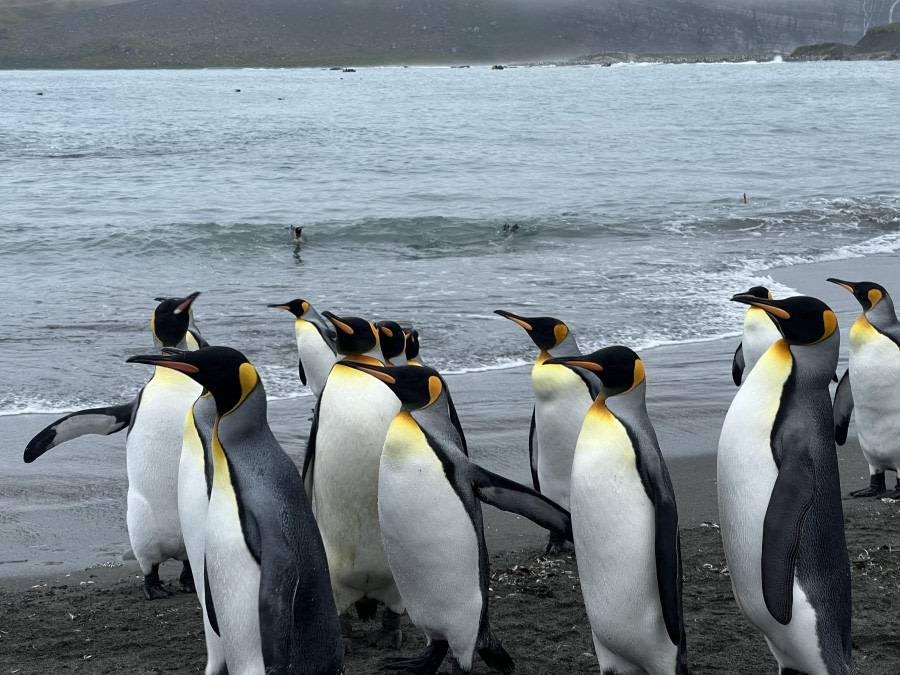 Curiosity to see Humans