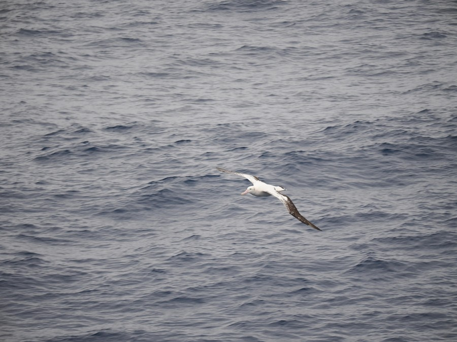 Embarkation Day - Setting sail for Antarctica