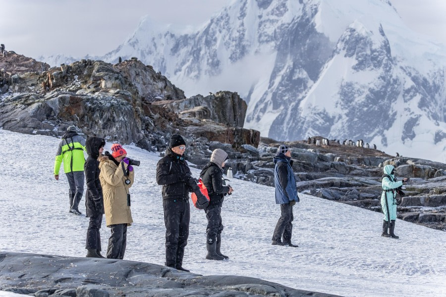 Salpêtrière Bay & Peterman Island