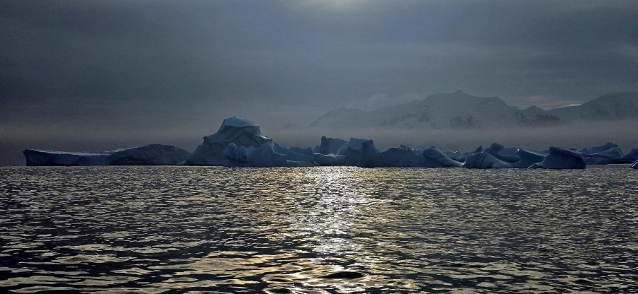 Early Morning in Antarctica