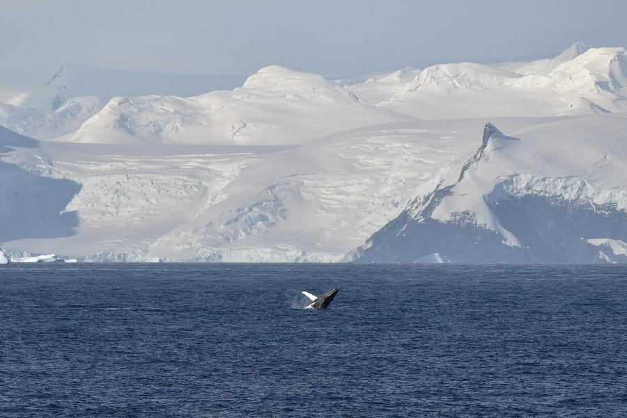 Antarctic Circle