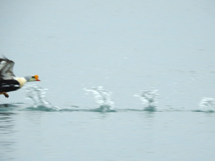 Skipping along. . .