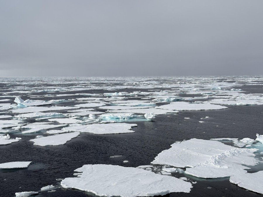 Greenland Pack Ice