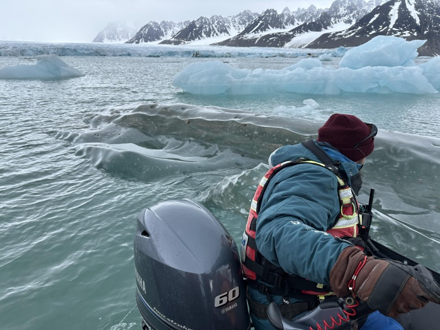 Expedition