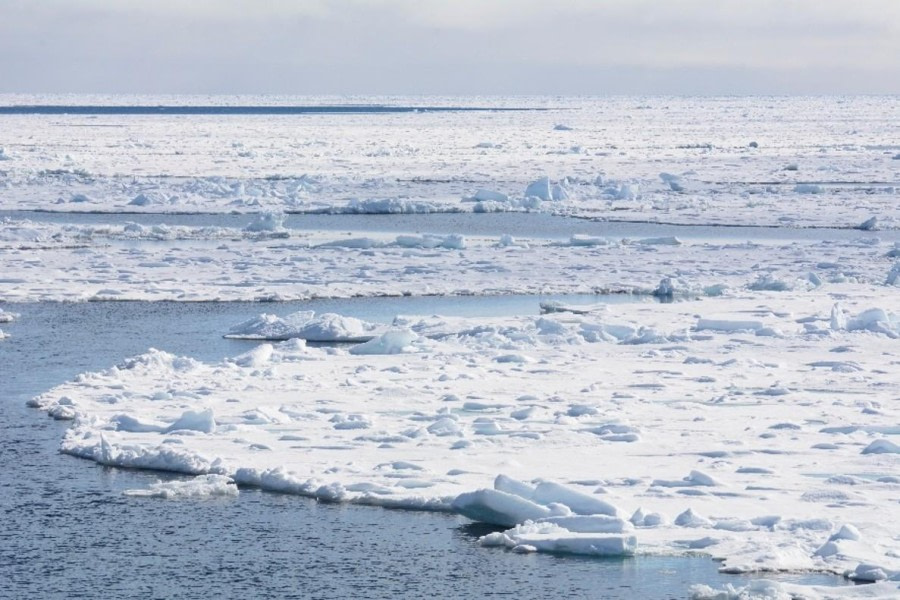 In the pack ice