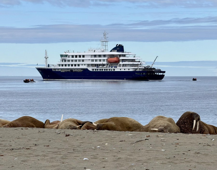Gjertsenodden – St. Jonsfjorden & Poolepynten