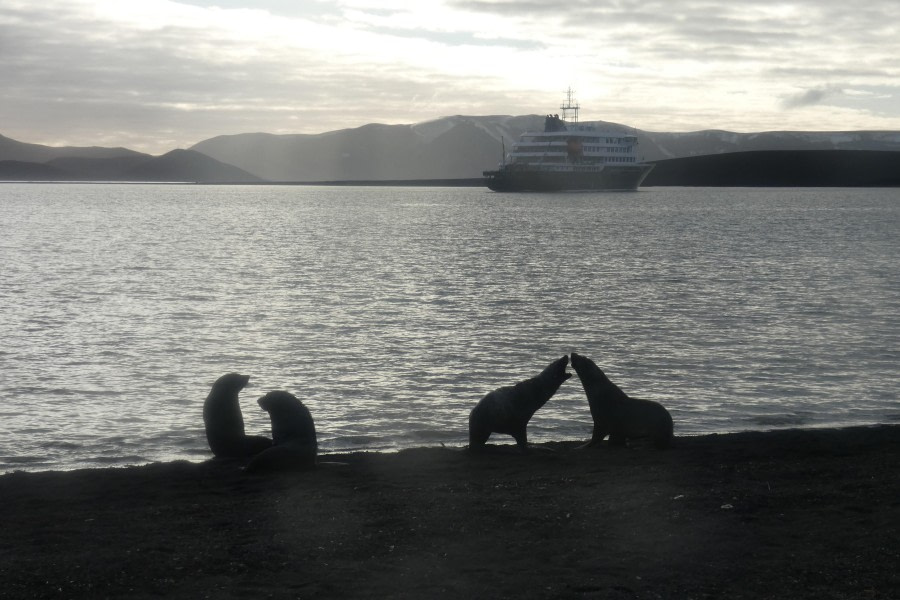 Silhouetten