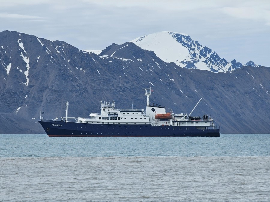 Lilliehöök Gletscher & Anlandung bei Camp Zoe