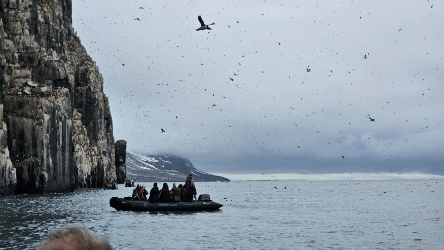 Anlandung in Torellneset und Faksevågen mit Eisbaden sowie Zodiac-Fahrt entlang der Vogelklippen von Alkefjellet