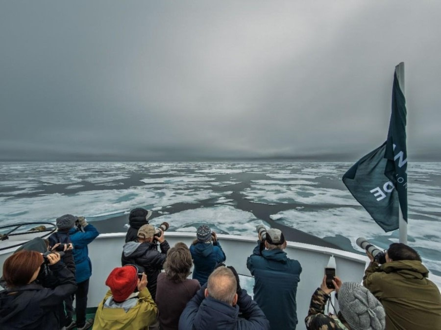 into the Pack Ice