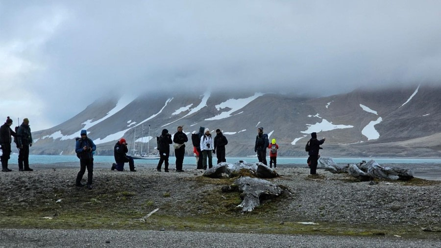 Gåshamna, Samarinbreen and Treskelen