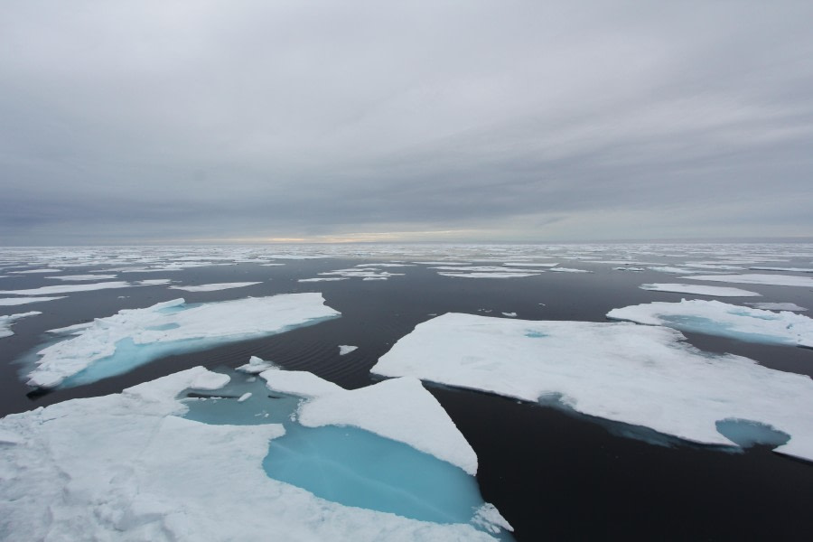 Into the Pack Ice