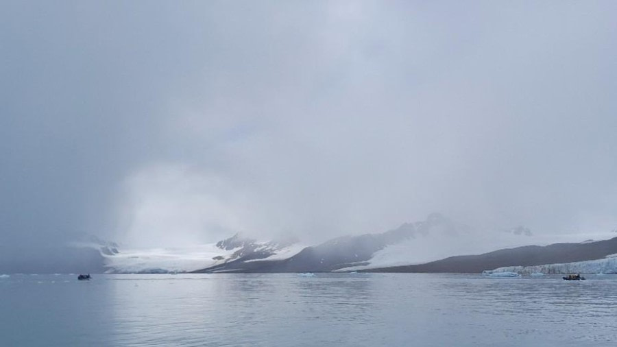 Lilliehöök glacier & Ny Alesund