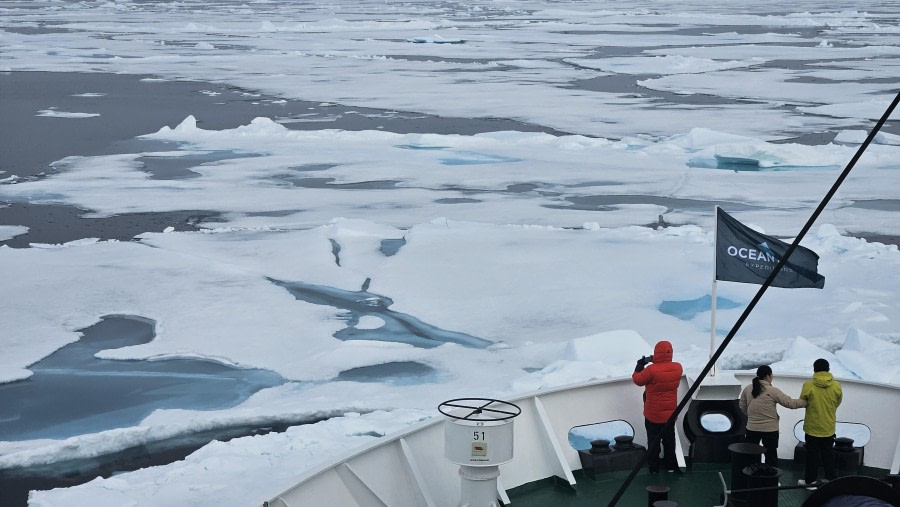 A day in the Sea Ice
