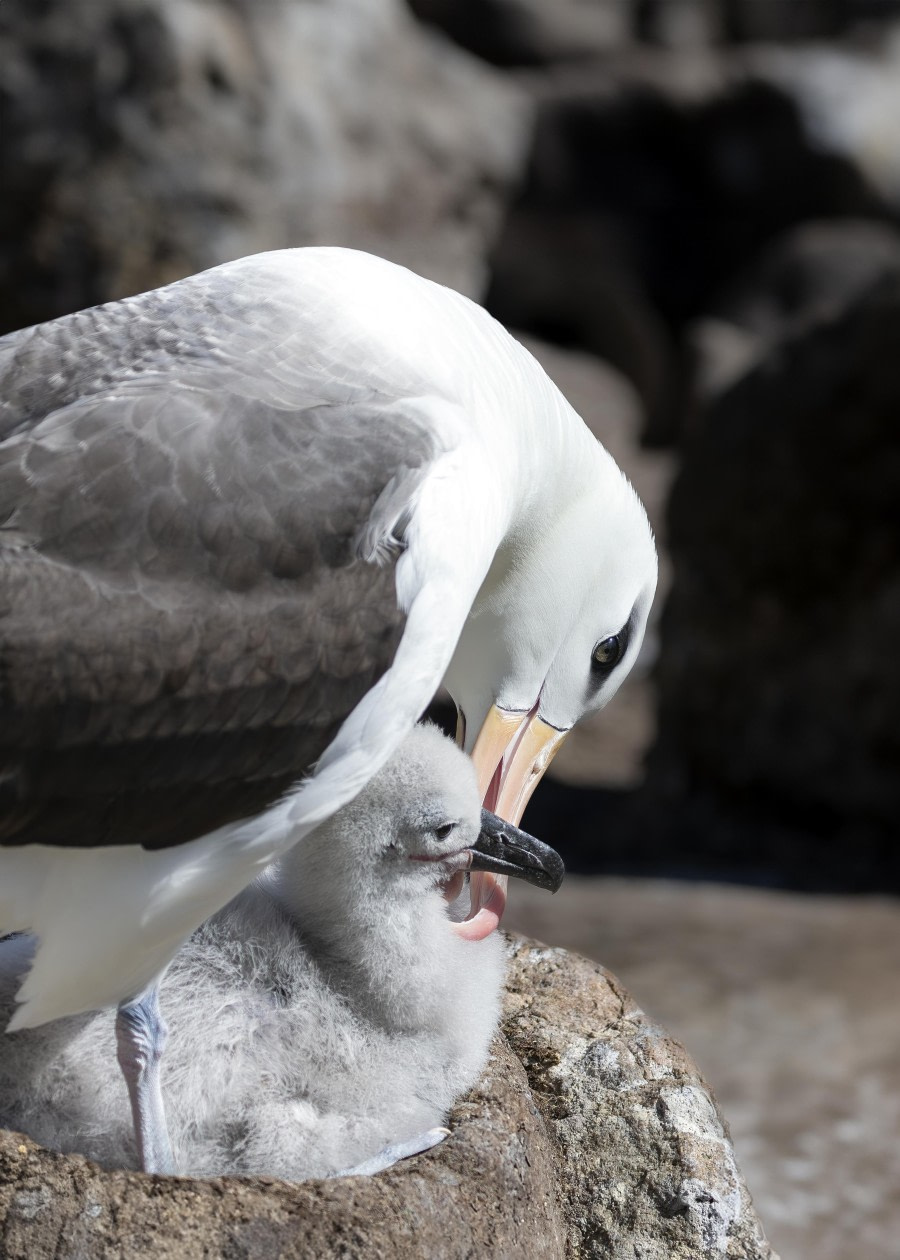 Tending to Baby