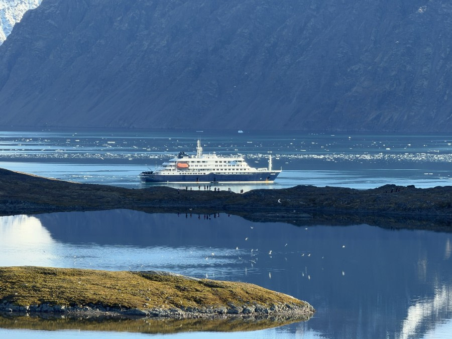 Signehamna & Ny Alesund