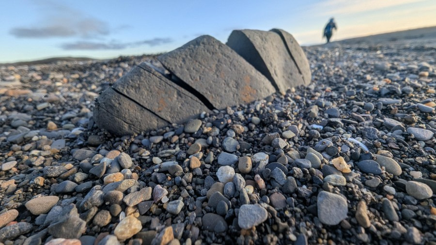 Stone