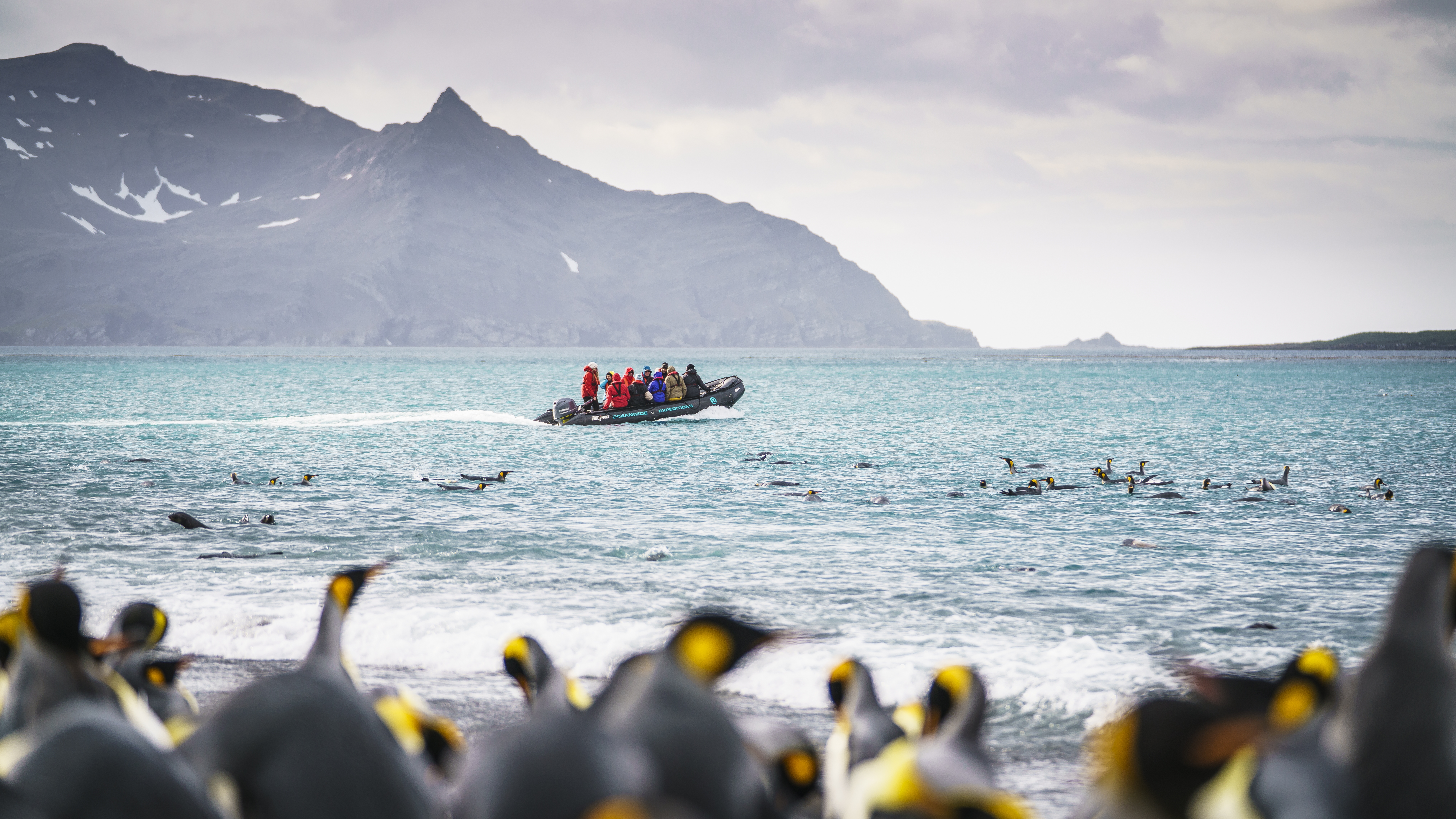 Falkland Islands - South Georgia - Antarctica